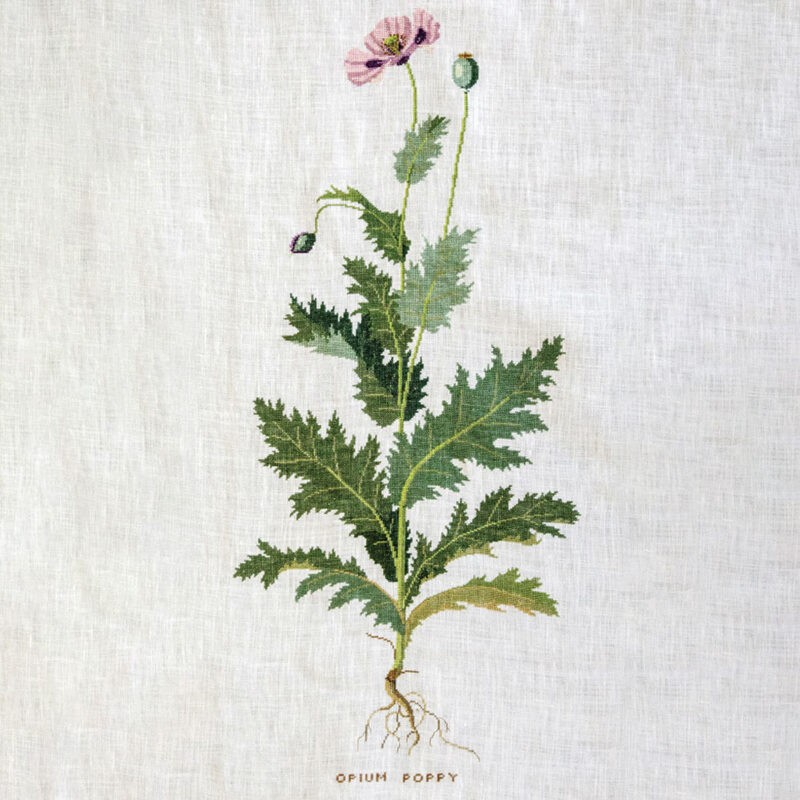 30-4428 Opium-Valmue - vægstykke - Gerda Bengtsson (GB)