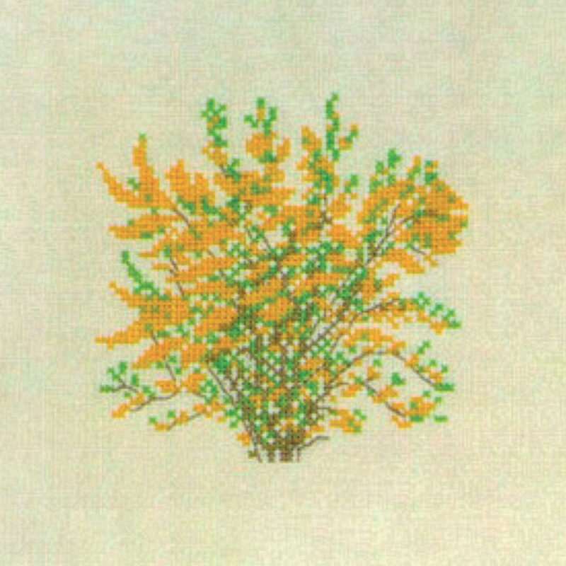 30-5760 Forsythia - vægstykke - Gerda Bengtsson (GB)