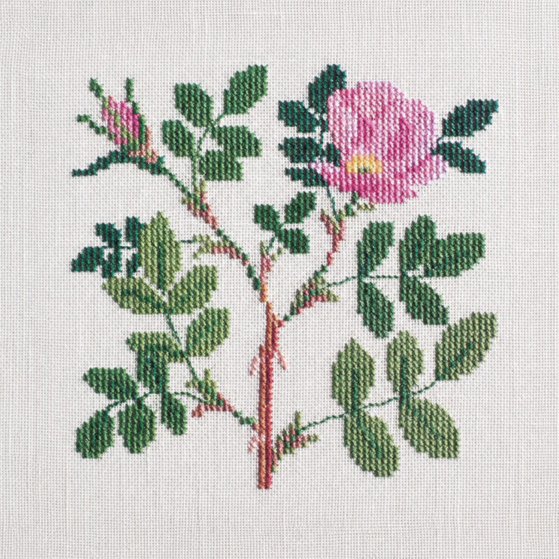 30-6722 Kanelrose - vægstykke - Gerda Bengtsson (GB)
