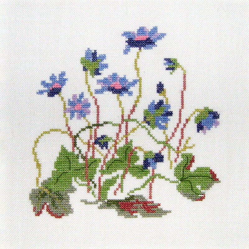 30-6957 Anemone - vægstykke - Conni Schimmel (CS)