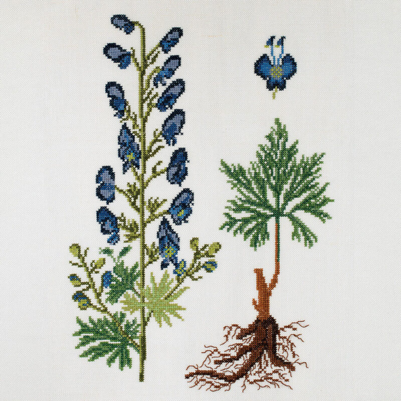 30-6964 Ranunkel - vægstykke - Lisbeth Roum-Møller (LRM)