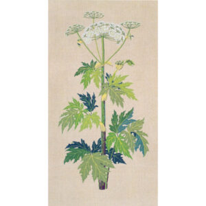 30-3260 Bjørneklo - vægstykke - Gerda Bengtsson (GB)